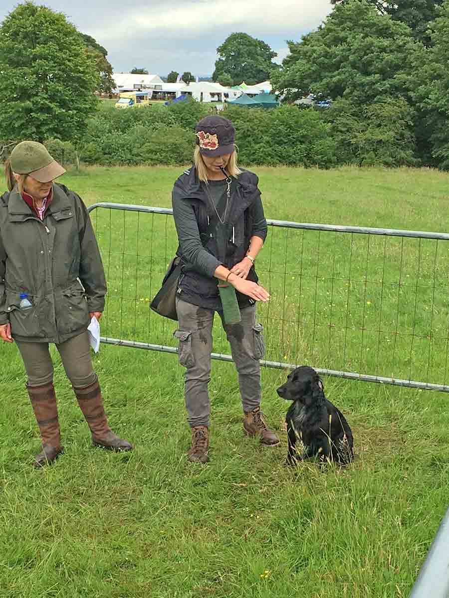 Gundog School for dog training
